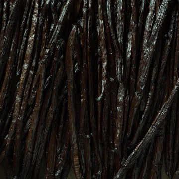 Terre d'épice gousse de vanille bourbon noire grand cru 18 20 cm
